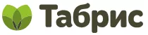 Табрис